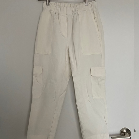 Aritzia The Group By Babaton Titan Pant 